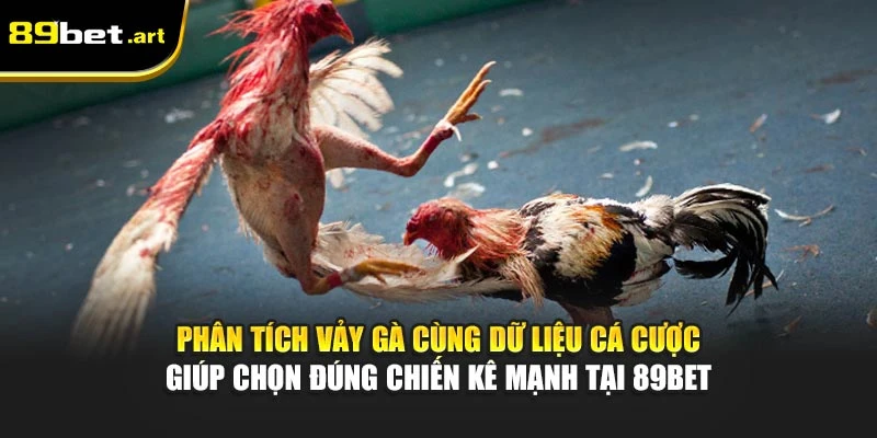Phân tích vảy gà cùng dữ liệu cá cược giúp chọn đúng chiến kê mạnh tại 89Bet
