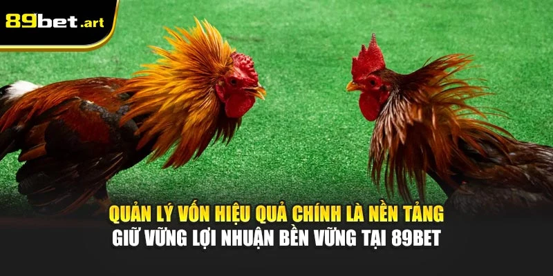 Quản lý vốn hiệu quả chính là nền tảng giữ vững lợi nhuận bền vững tại 89Bet